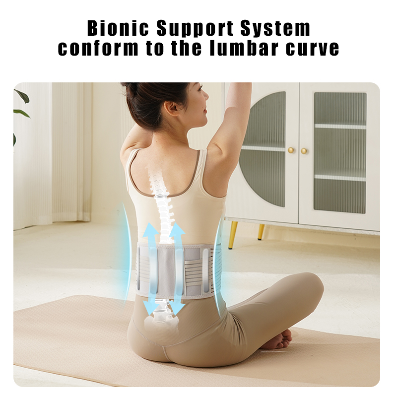 Adjustable Back Support Belt